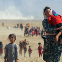 الهجرة تعلن عودة أكثر من 1000 نازح إيزيدي الى سنجار