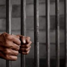 السجن المؤبد بحق تاجر مخدرات في ميسان