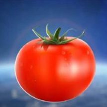 العثور على "الطماطم المفقودة" في الفضاء