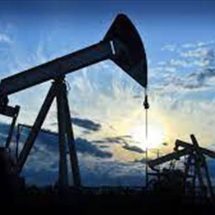 استقرار أسعار النفط على خسارة