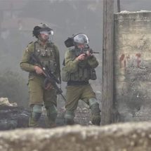 الجنود الإسرائيليون يسرقون من غزة عشرات الملايين من الدولارات