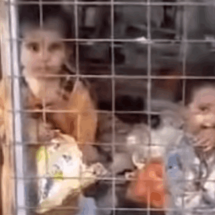 تركتهم والدتهم منذ يومين.. العثور على طفلين محبوسين داخل قفص ببغداد (فيديو)