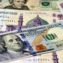 الدولار يسجل مستوى تاريخيا امام الجنيه المصري