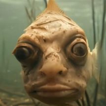 "العثور على أسماك بوجوه بشرية" يغزو مواقع التواصل.. ما القصة؟ (فيديو)