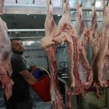 الزراعة تحصي أسباب ارتفاع اللحوم في الأسواق