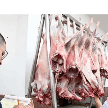 تعزيز الاجراءات الرقابية للسيطرة على اسعار اللحوم
