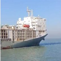 بعد رحلة مثيرة.. سفينة المواشي "النتنة" تصل الموانئ العراقية (فيديو)