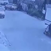 مشهد بطولي.. "سايبا" تطيح بدراجة حاولت سرقة امرأة صباح العيد (فيديو)