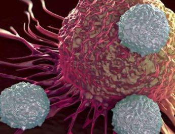 اكتشاف طريقة جديدة لمكافحة السرطان بالمضادات الحيوية