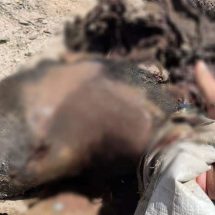 المشتركة تعلن قتل قياديين خطرين من داعش في ديالى